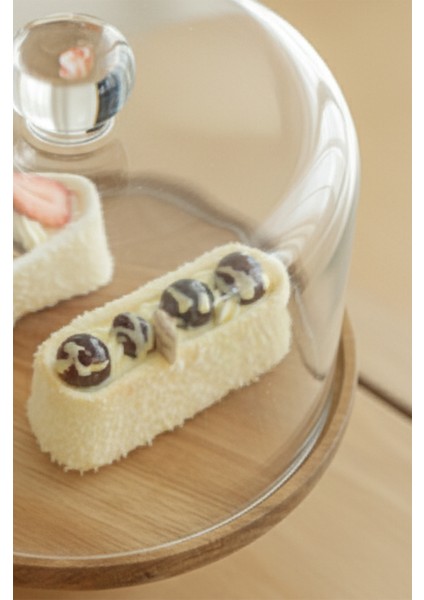 Leo Akasya Standlı Cam Kek Fanusu Ayaklı 28 cm Dev Boy