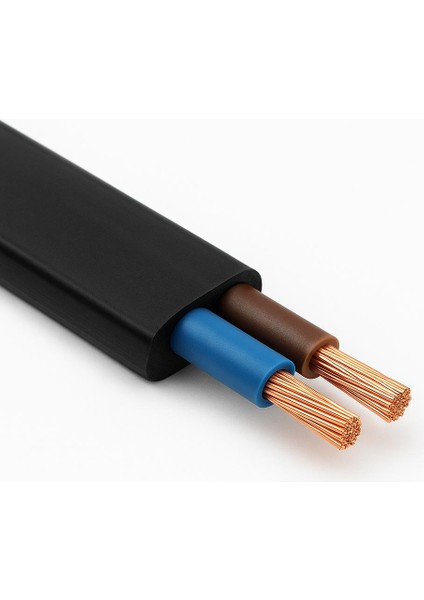 Fişli Yerpuarlı Kablo (Yassı)- Anahtarlı (2X0,50) Siyah - 3 Metre fiyatları