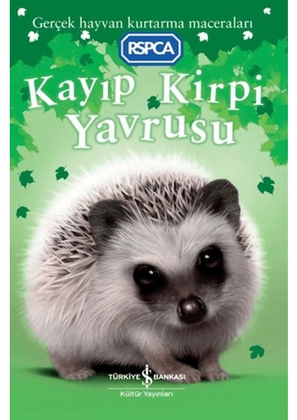 Kayıp Kirpi Yavrusu