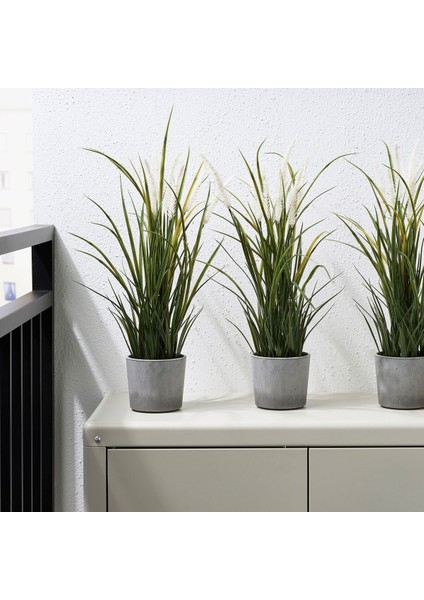 Beton Saksı, Açık Gri, 9 Cm, Iç/dış Mekan modelleri