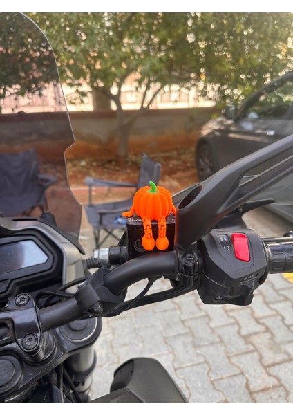 Balkabağı Figür modelleri