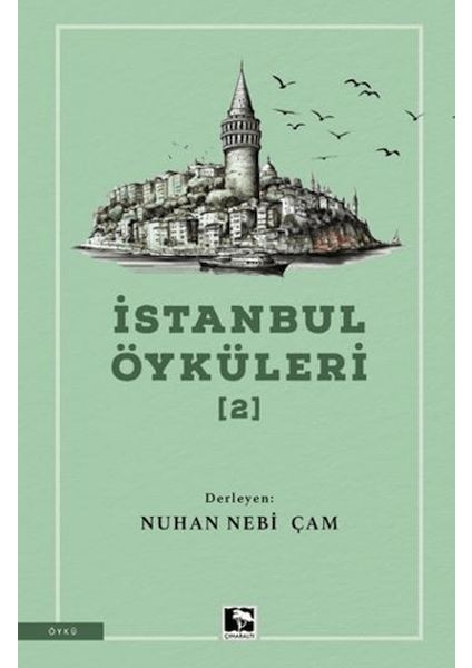 Istanbul Öyküleri 2