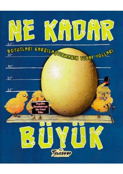 Boyutları Karşılaştırmanın Tuhaf Yolları - Ne Kadar Büyük