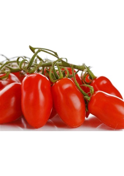 20 Adet Patio San Marzano Domates Tohumu