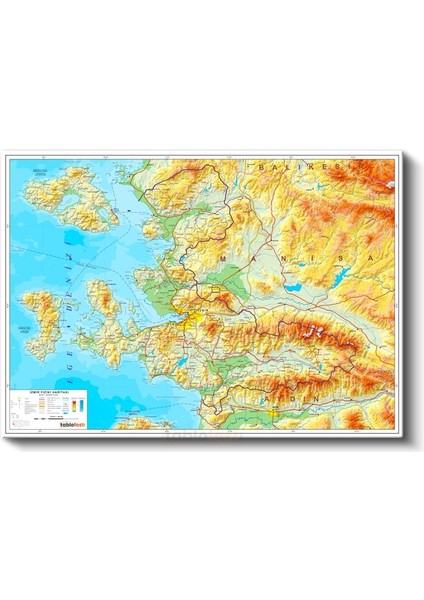 Izmir - Fiziki Haritası Kanvas Tablo fiyatları