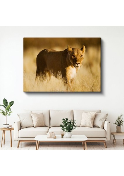 Aslan Kraliçesi - Altın Sarısı Savanada Heybetli Duruş Kanvas Tablo