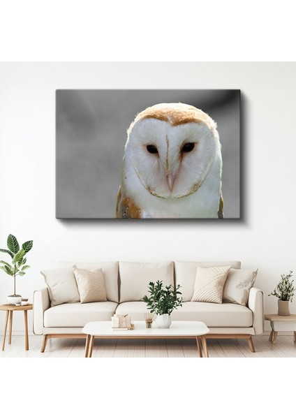 Peçeli Baykuş - Bilgeliğin Sembolü Kanvas Tablo