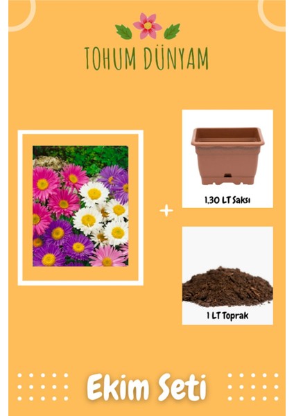 Aster Çiçek Tohumu Ekim Seti