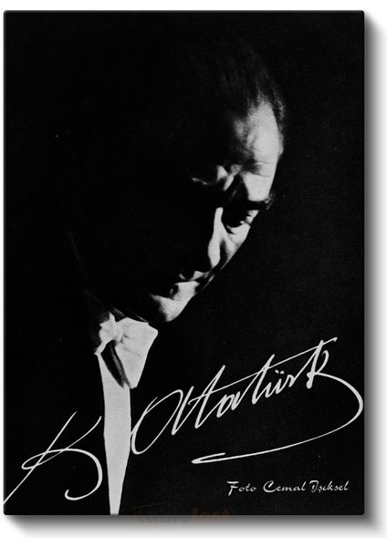 Imzalı Atatürk - Siyah Beyaz Sanatsal Portre Kanvas Tablo fiyatları