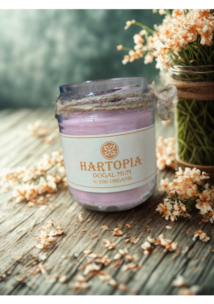 Hartopia-Doğal Kuru Pembe Gül Mum Cam Kavanoz fiyatları