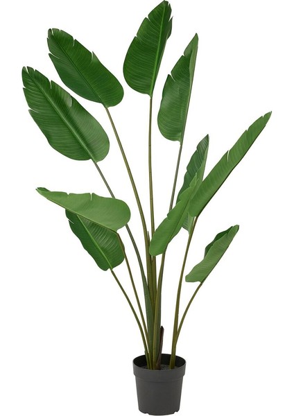 Yapay Bitki, Yeşil, 23 Cm, Cennet Kuşu, Iç/dış Mekan