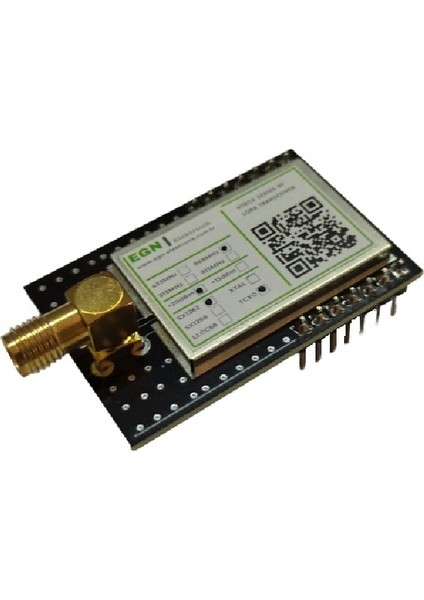 NTR09RSL8 868MHZ Rf Lora Transceiver Modülü (SX1262, Tcxo, Saw Filtre)