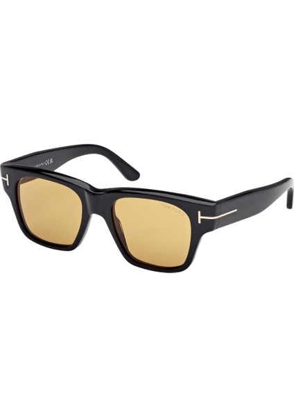 FT1280 01E 53*19*145