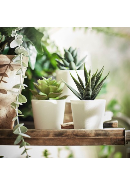 Saksılı Yapay Bitki, Yeşil, 6 Cm, 3 Adet, Kaktüs fiyatları