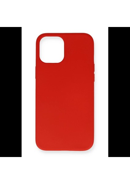 iPhone 12 Mini Kılıf Nano Içi Kadife Silikon