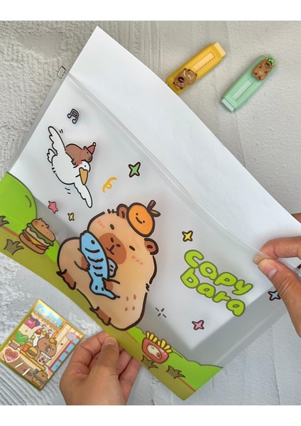 Capybara Şeffaf Tek Bölmeli A4 Fermuarlı Dosya Klasörü / Belge Dosyası/düzenleyici Klasör/ Dosya modelleri