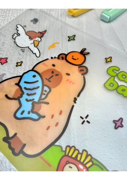 Capybara Şeffaf Tek Bölmeli A4 Fermuarlı Dosya Klasörü / Belge Dosyası/düzenleyici Klasör/ Dosya indirimleri