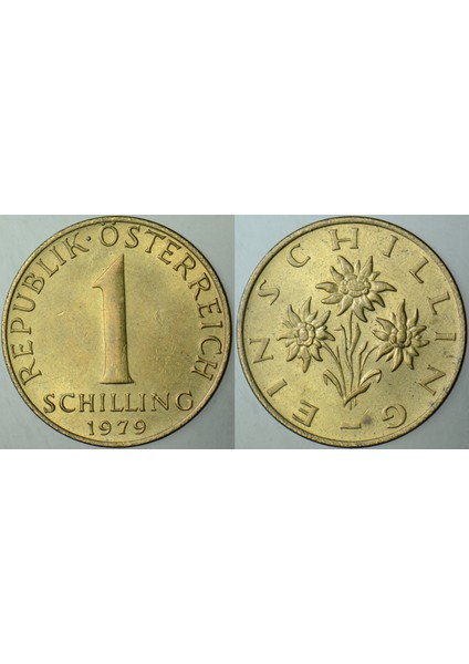 Avusturya 1 Şilin 1979 Edelweiss. Çilaltı.