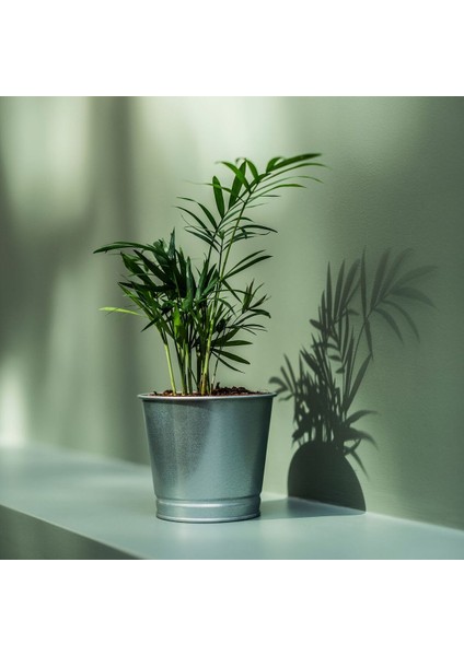 Çelik Saksı, Galvanizli, 9 cm fırsatları