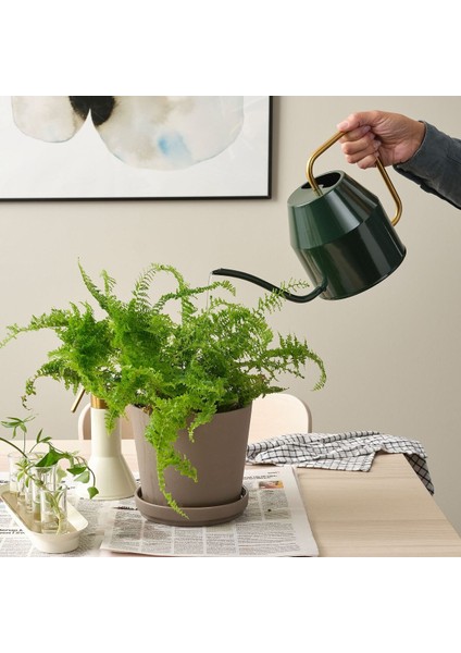 Sulama Kabı, Siyah-Yeşil-Altın Rengi, 2.0 Lt