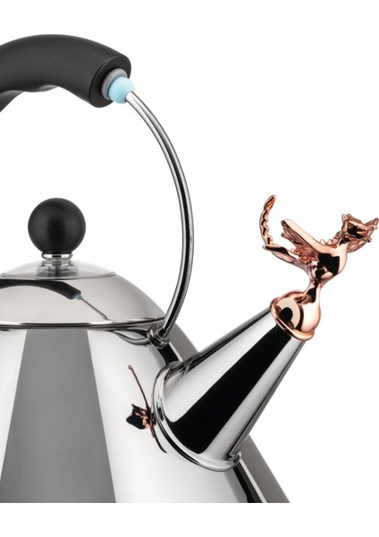 2 Lt Siyah Çaydanlık, Şık ve Kullanışlı, Dayanıklı ve Pratik Tasarım modelleri