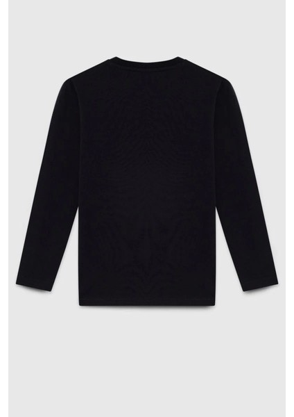 Erkek Çocuk Uzun Kollu Tshirt BNT-B23339 modelleri