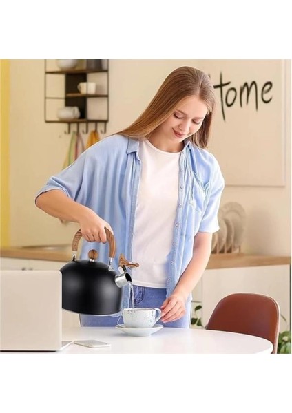 Paslanmaz Çelik 3l Düdüklü Su Isıtıcı ve Çaydanlık, Siyah Renk fiyatları