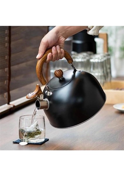Paslanmaz Çelik 3l Düdüklü Su Isıtıcı ve Çaydanlık, Siyah Renk modelleri