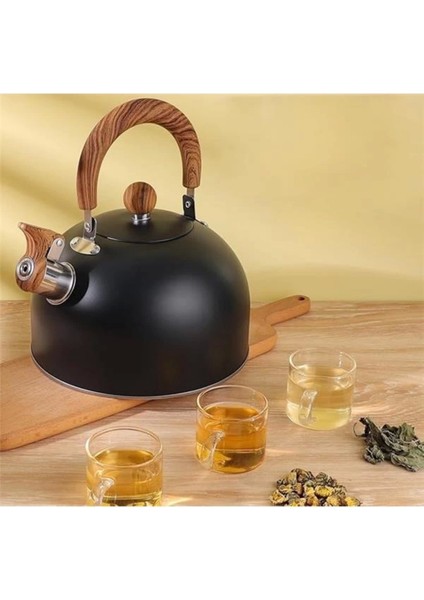 Paslanmaz Çelik 3l Düdüklü Su Isıtıcı ve Çaydanlık, Siyah Renk