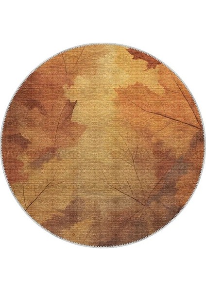 , Makinede Yıkanabilir, Kaymaz Taban, Dijital Baskı, Çok Renkli, Salon Halısı, Oturma Odası Halısı, Mutfak Halısı ve Yolluk fiyatları