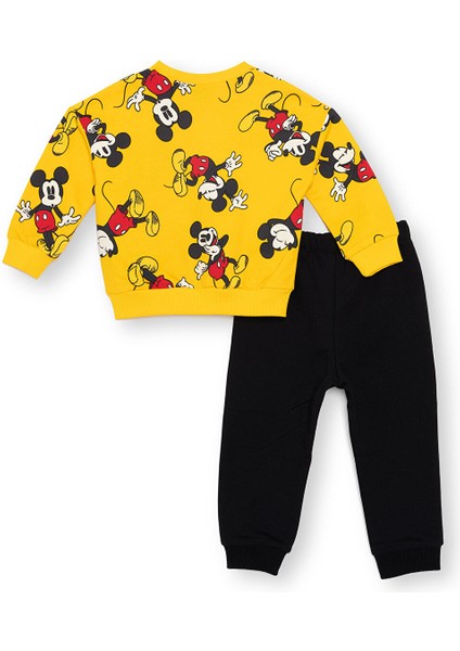 Erkek Bebek Eşofman Takımı Iki Iplik Bisiklet Yaka Uzun Kol Ribanalı Paça fiyatları