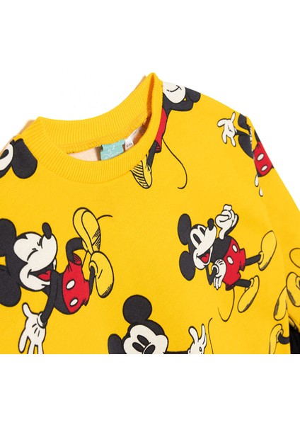 Erkek Bebek Eşofman Takımı Iki Iplik Bisiklet Yaka Uzun Kol Ribanalı Paça modelleri