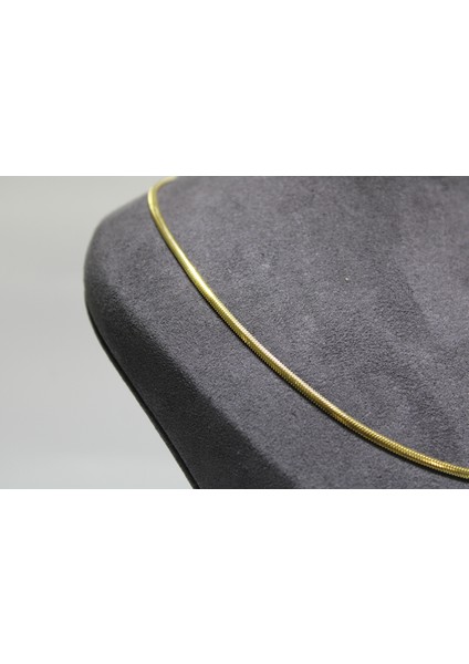 14 Ayar Altın Balık Sırtı Modeli Kolye modelleri