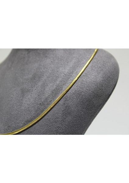 14 Ayar Altın Balık Sırtı Modeli Kolye fırsatları