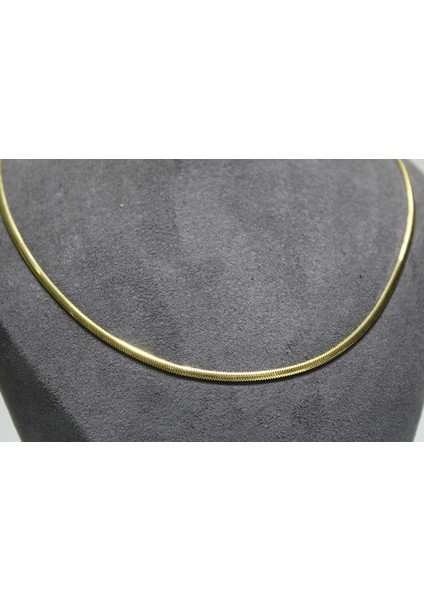 14 Ayar Altın Balık Sırtı Modeli Kolye indirimleri