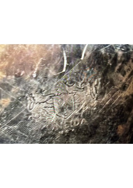 Amerikan Oneıda Gümüş ile Kuş ve Çiçek Motifleri Işlenmiş Gümüş Kaplama Tabak 19 cm fırsatları