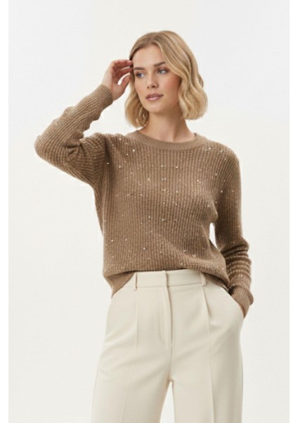 Koyu Vizon Kadın Taş İşleme Detaylı Bisiklet Yaka Triko Kazak 7045