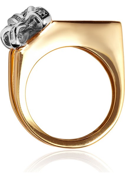 Altın Fiyonk ve Kristal Taş Detaylı 925 Ayar Gümüş Yüzük 167 fırsatları