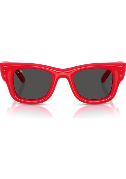 0rb 4940 Wayfarer Puffer 6831/87 47