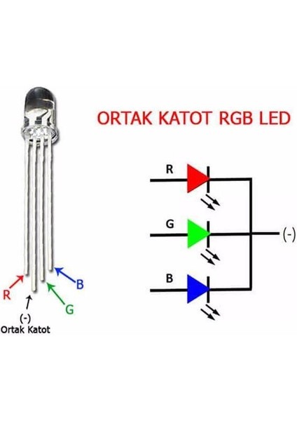 1592-5MM Rgb LED 4 Pin Ortak Katot modelleri