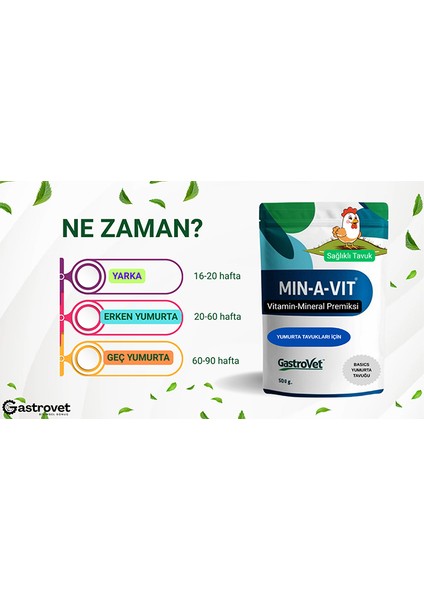 Min-A-Vit Basıcs- Yumurta Tavukları Için Vitamin ve Mineral Premiksi – 250 G