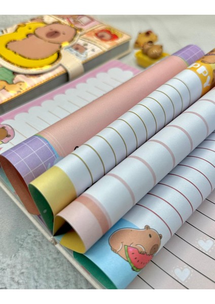 Ördek Ile Capybara Özel Tasarım Renkli Resimli Defter/notebook/günlük/bullet Journal indirimleri