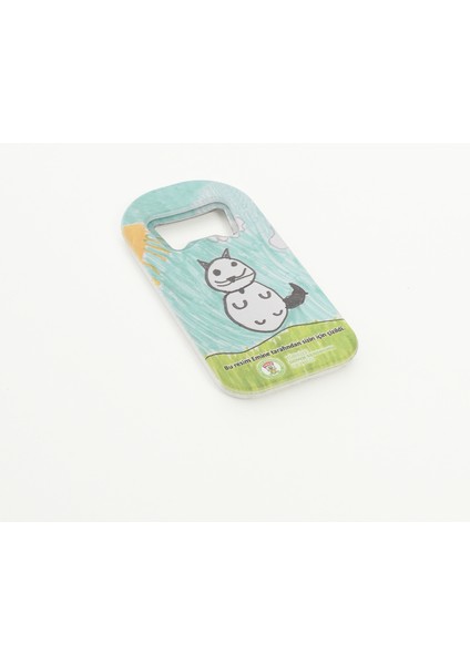 Kedi Açacak Magnet fiyatları
