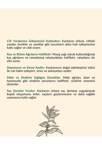 Kantaron Sirkesi fiyatları
