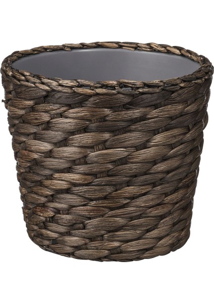 Rattan Saksı, Su Sümbülü, 12 cm