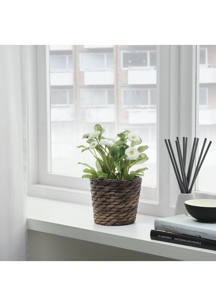 Rattan Saksı, Su Sümbülü, 12 cm fiyatları