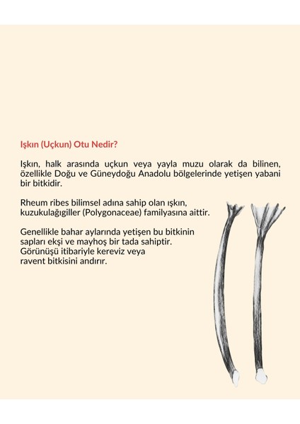 Işkın Sirkesi fiyatları