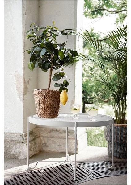Rattan Saksı, Deniz Sazı, 19 cm modelleri