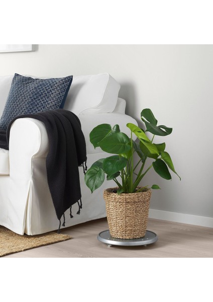 Rattan Saksı, Deniz Sazı, 19 cm fırsatları