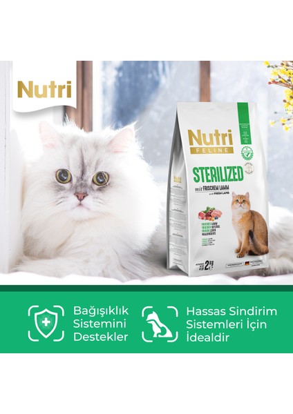 2 kg Sterilised Kuzu Etli Kuru Kedi Maması modelleri